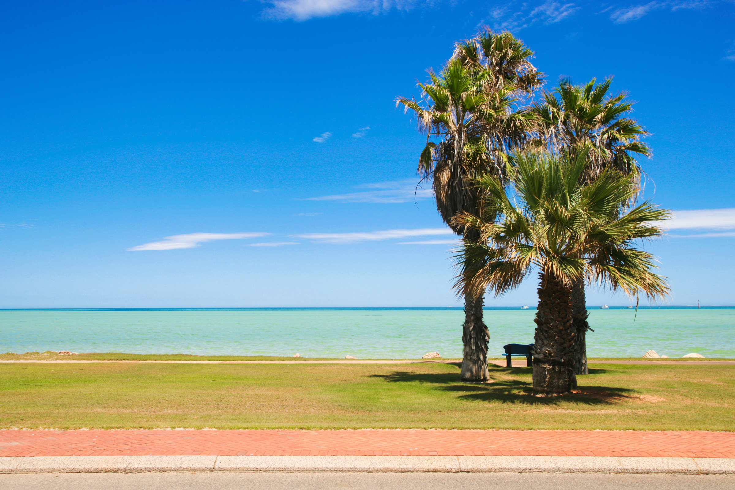 denham, western australia (3).webp